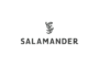 Gutachtenauftrag für das mobile Anlagevermögen der Salamander Deutschland GmbH & Co. KG